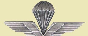  Distintivo di “paracadutista abilitato al lancio” 